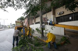 Tormenta Grace